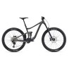 GIANT REIGN 29 2022 