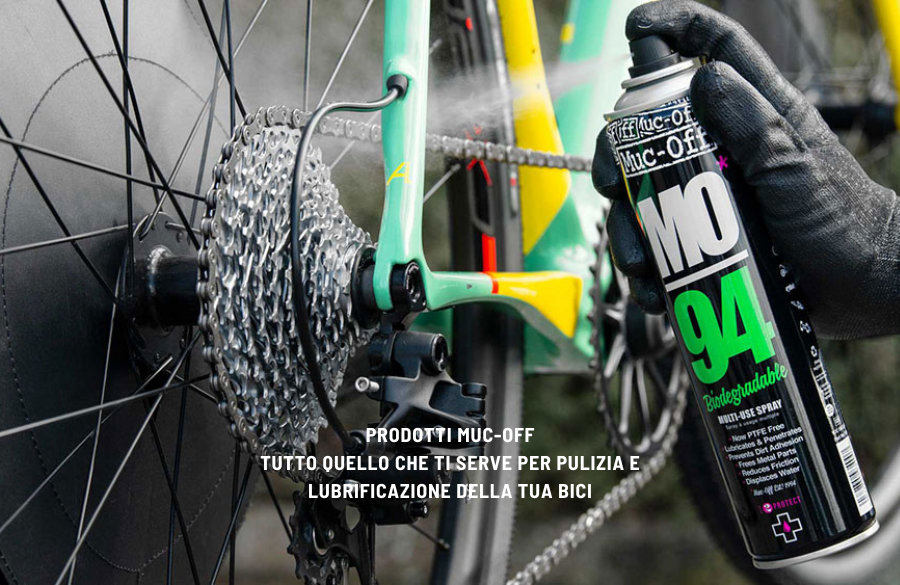 Adrenalina su due ruote | Giubilato Sport